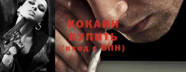 трава Няндома