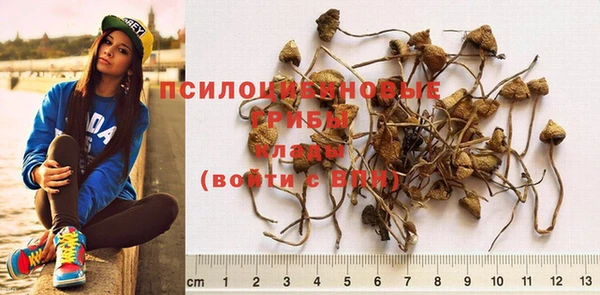 mdma Новодвинск