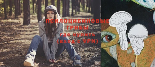 трава Няндома