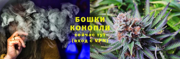 PSILOCYBIN Нязепетровск