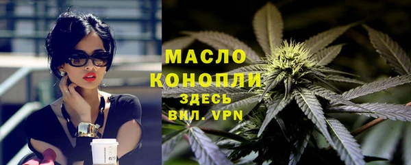 трава Няндома