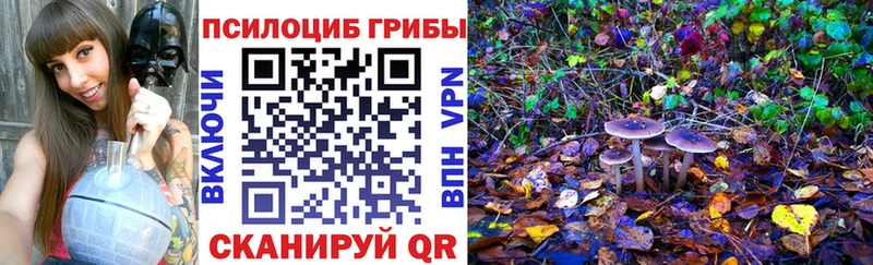 Галлюциногенные грибы GOLDEN TEACHER  как найти закладки  мега tor  Кизилюрт 